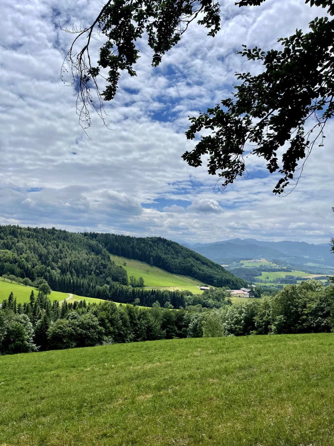 Wienerwald