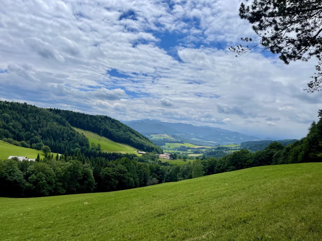 Wienerwald