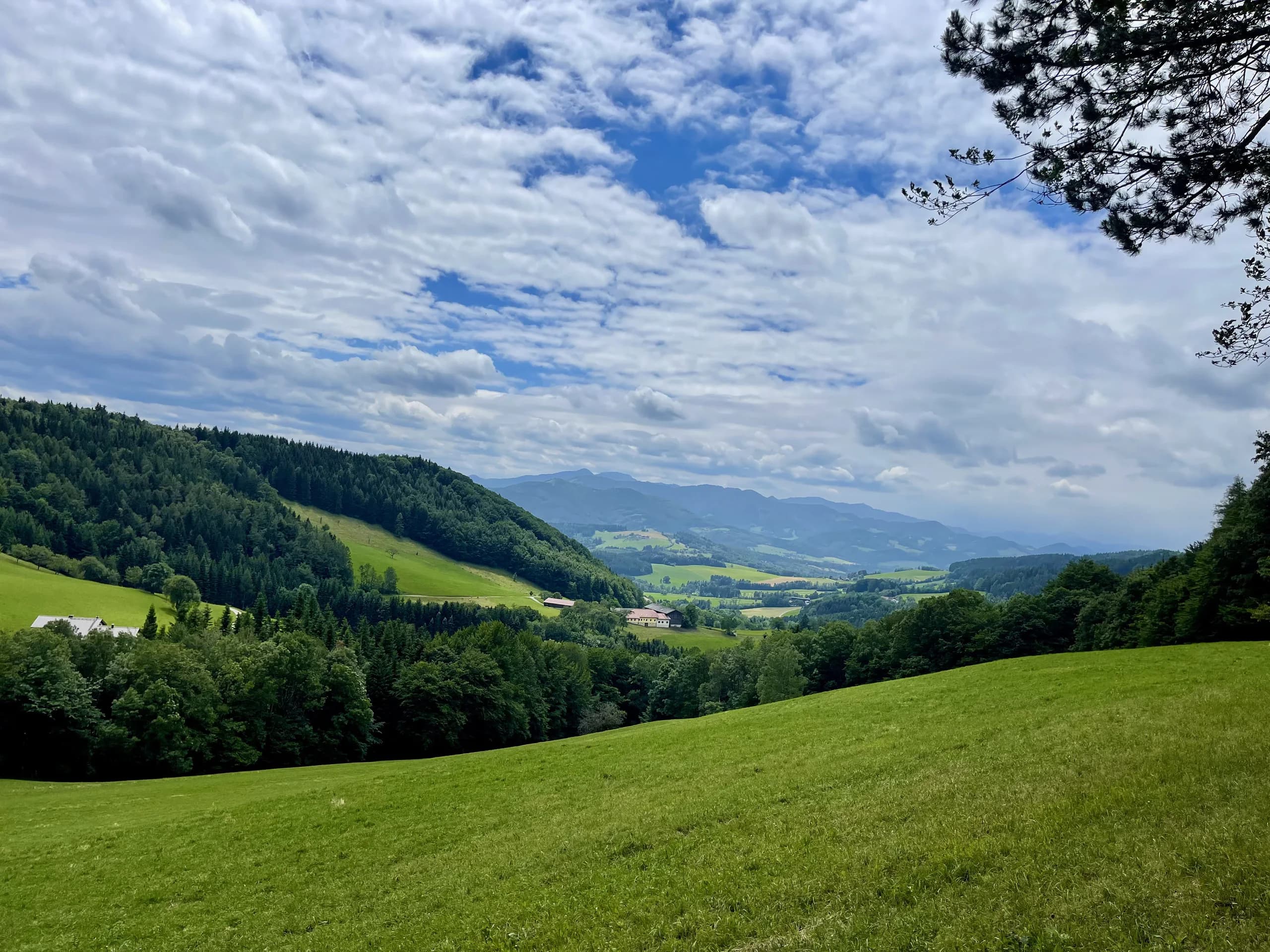 Wienerwald