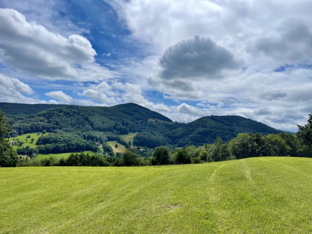 Wienerwald