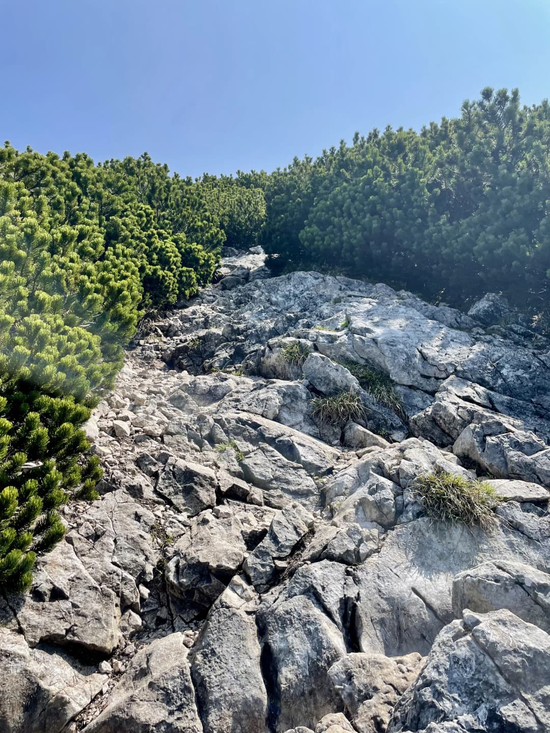 Route to the summit.
